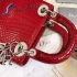 Dior Bag 024 Python